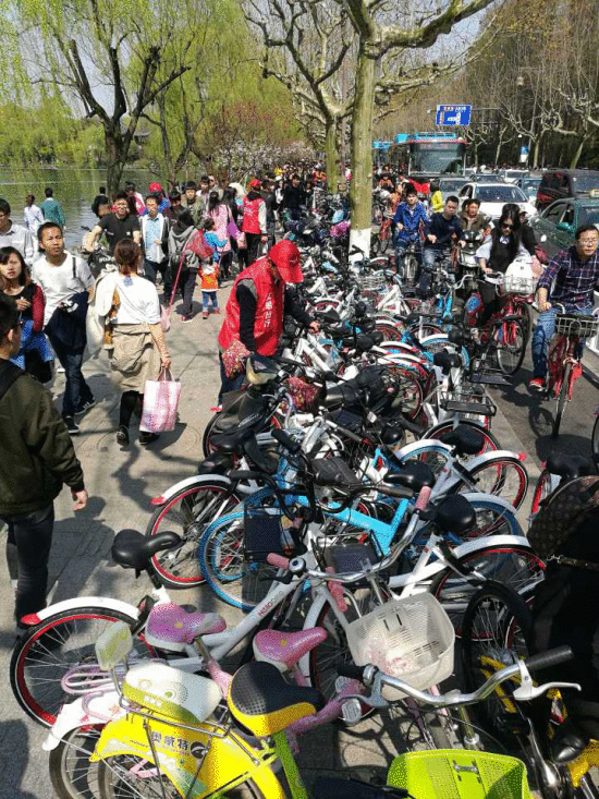 4月2日，南山路人行道几乎被共享单车包围（图片来自网络）.gif