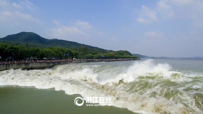 杭州洪潮图片